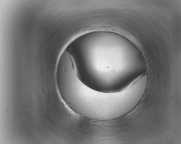 X0000063461536200602031821