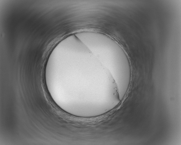 X0000063460001200602101726