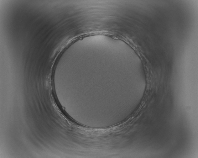 X0000063460002200602101726