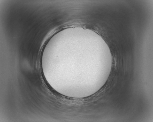 X0000063460004200602101726
