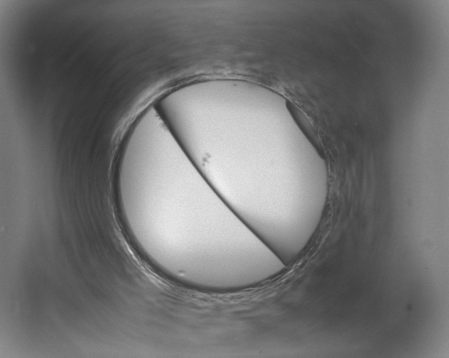 X0000063460005200602101726
