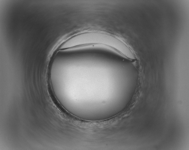 X0000063460007200602101726