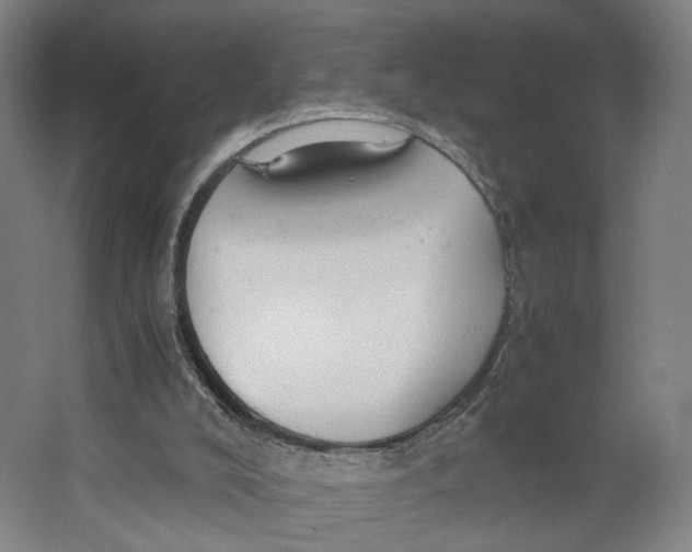X0000063460008200602101726