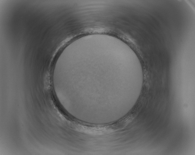 X0000063460012200602101726