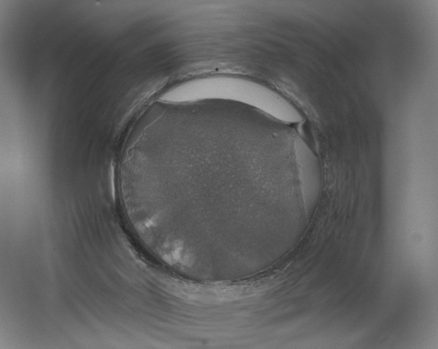 X0000063460014200602101726