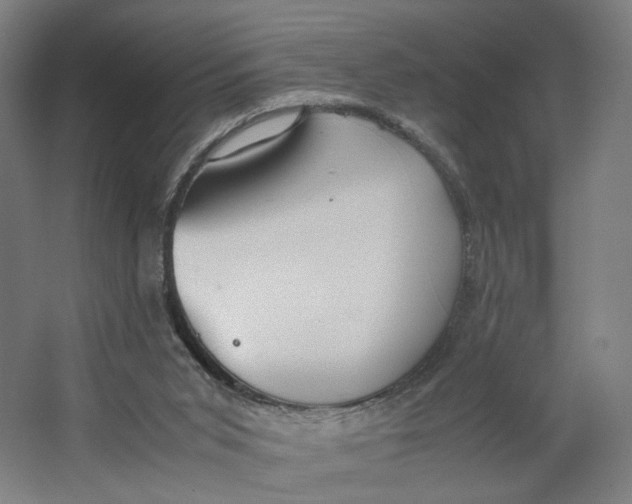 X0000063460015200602101726