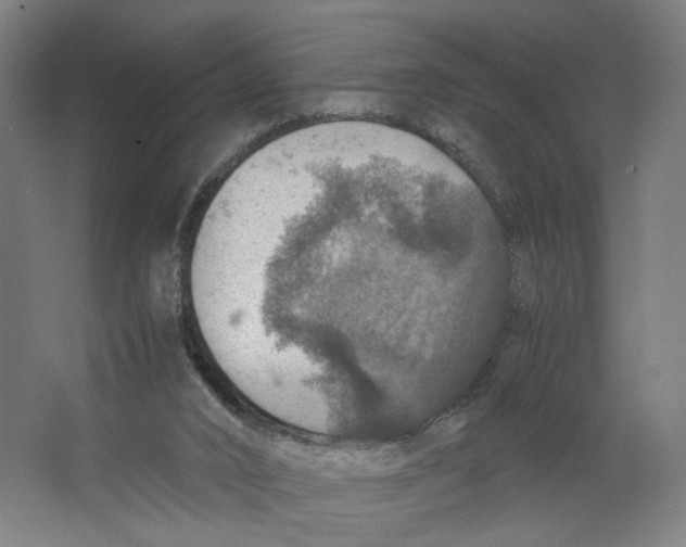 X0000063460016200602101726