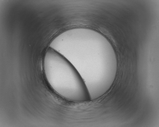 X0000063460021200602101726