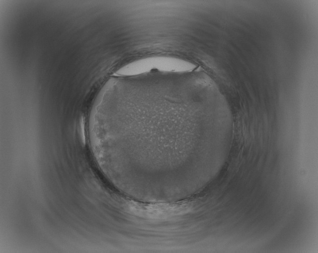 X0000063460022200602101726