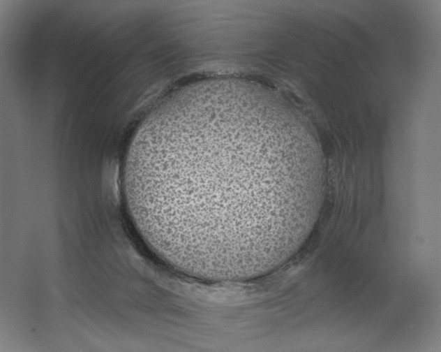 X0000063460024200602101726