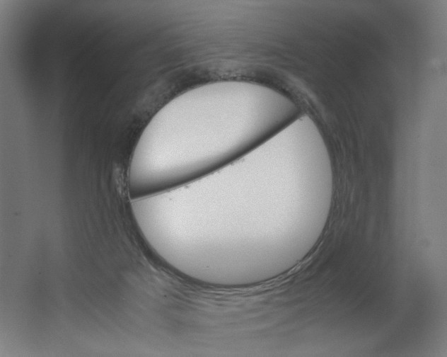 X0000063460025200602101726