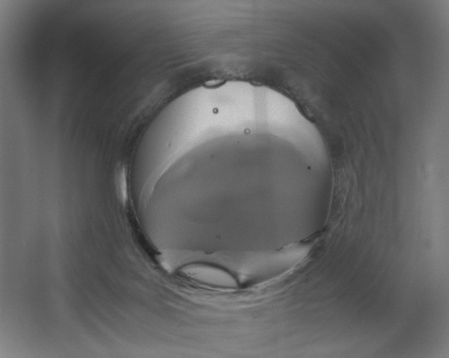 X0000063460027200602101726