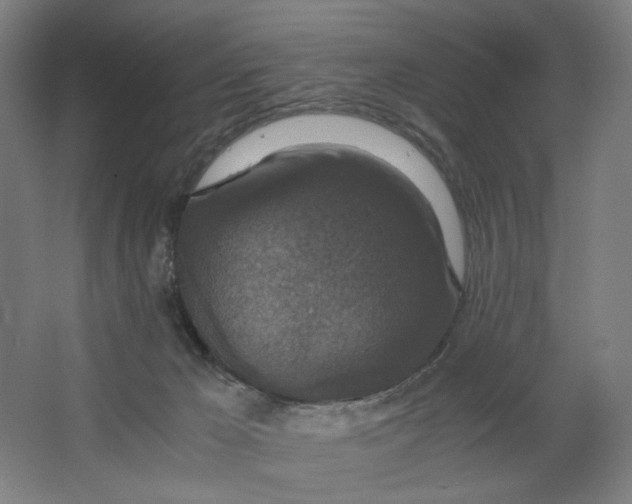 X0000063460029200602101726