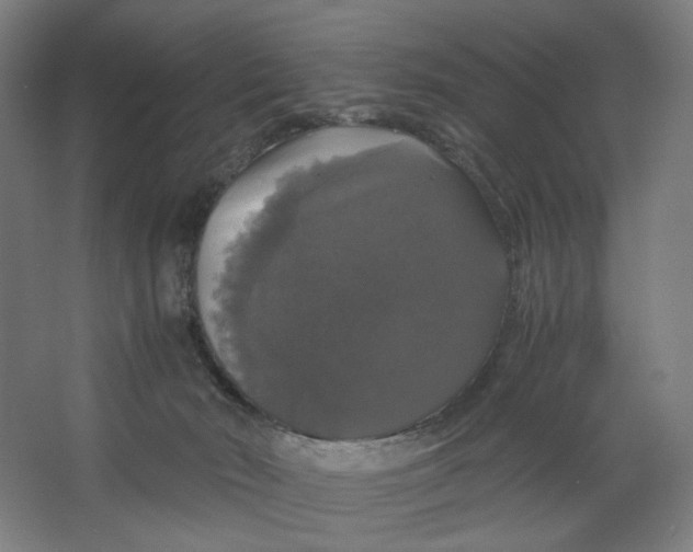 X0000063460030200602101726
