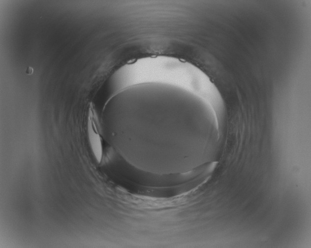 X0000063460031200602101726
