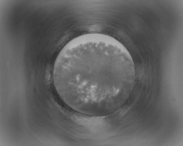 X0000063460032200602101726