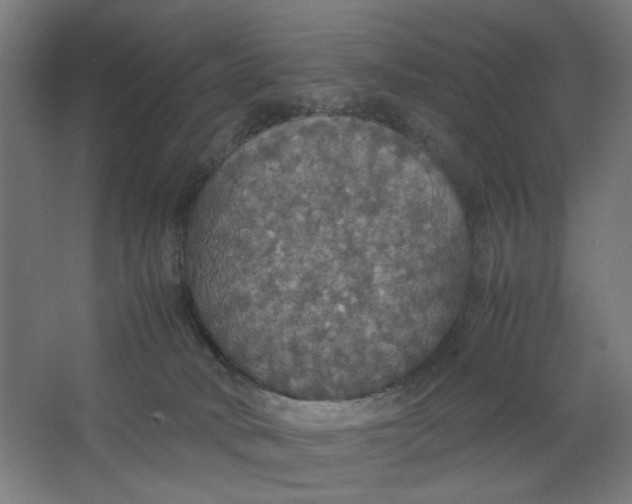 X0000063460034200602101726
