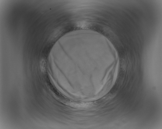 X0000063460036200602101726
