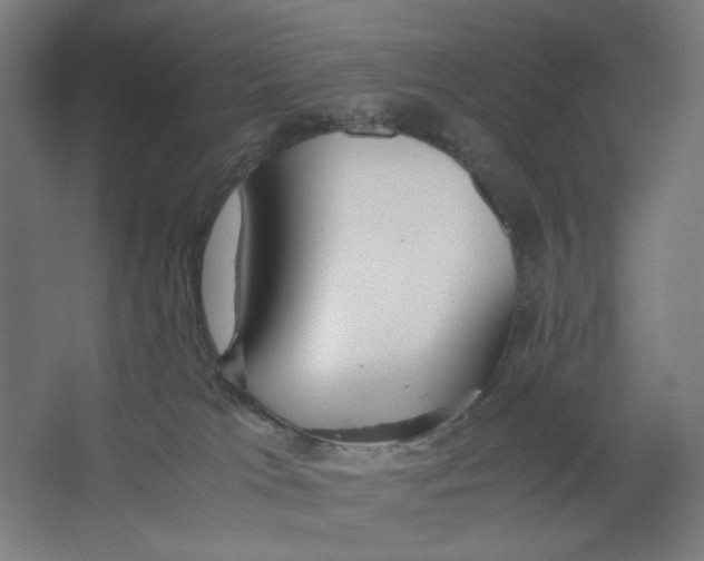 X0000063460037200602101726