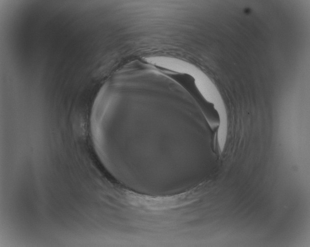 X0000063460039200602101726