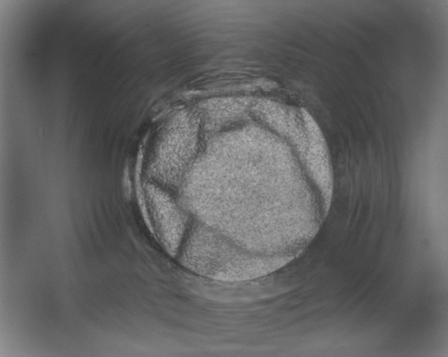X0000063460042200602101726