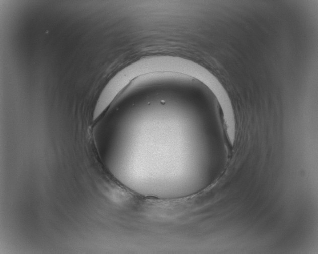 X0000063460045200602101726