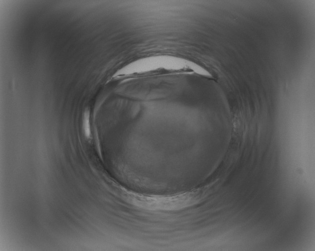 X0000063460046200602101726