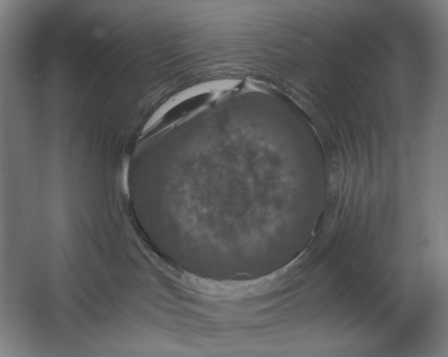 X0000063460047200602101726