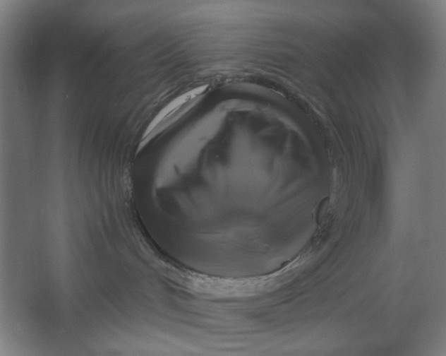 X0000063460048200602101726