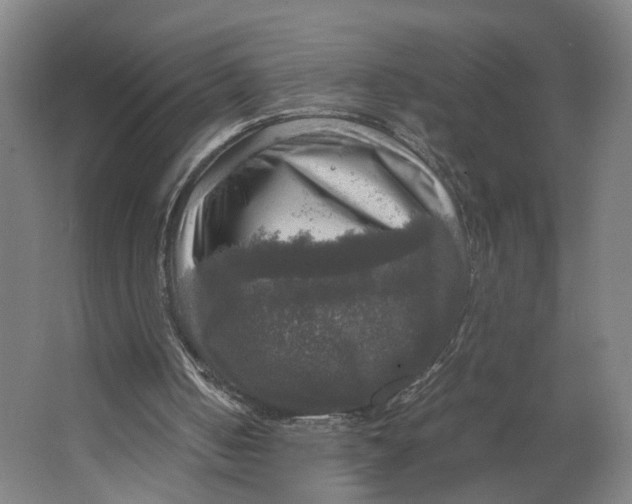 X0000063460050200602101725