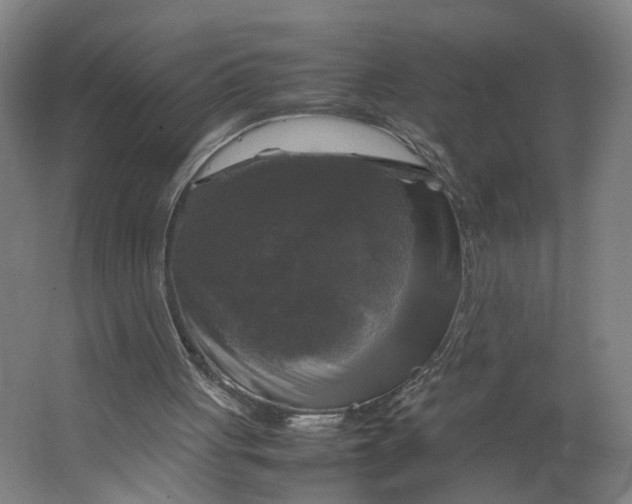 X0000063460051200602101725