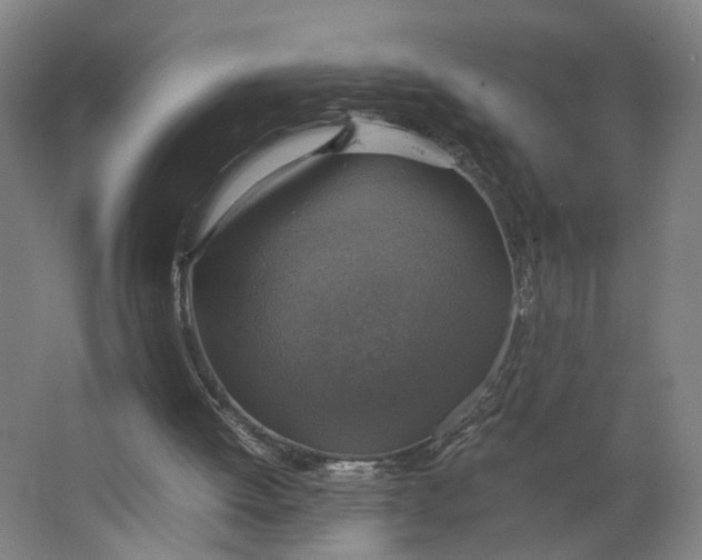 X0000063460052200602101725