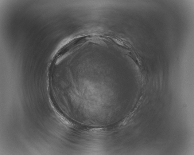 X0000063460054200602101725