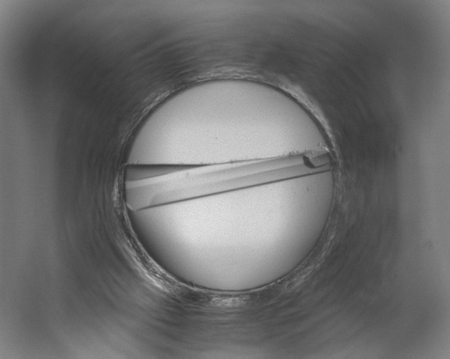 X0000063460057200602101725