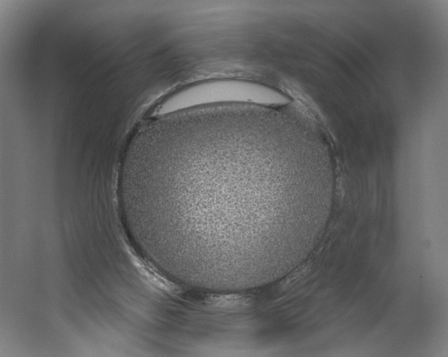 X0000063460058200602101725