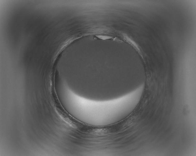 X0000063460059200602101725