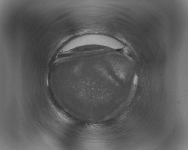 X0000063460062200602101725