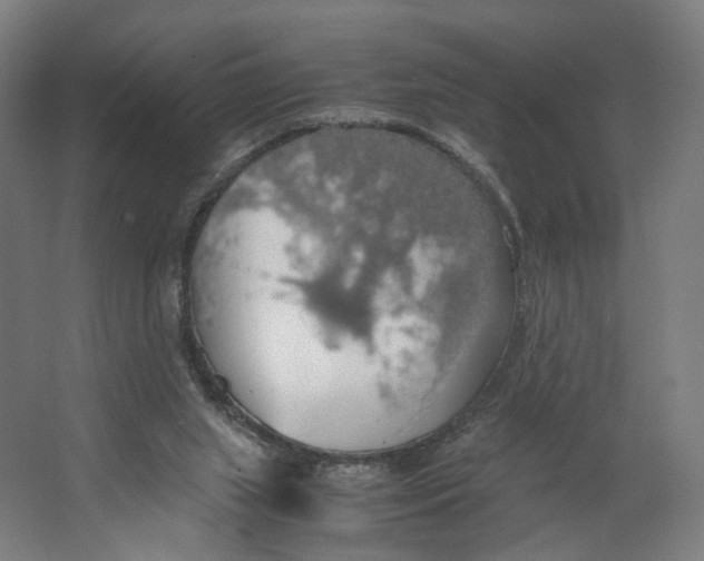 X0000063460063200602101725