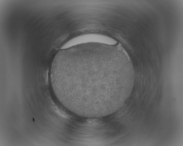 X0000063460070200602101725