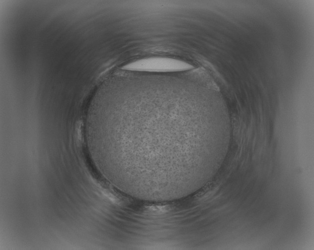 X0000063460071200602101725