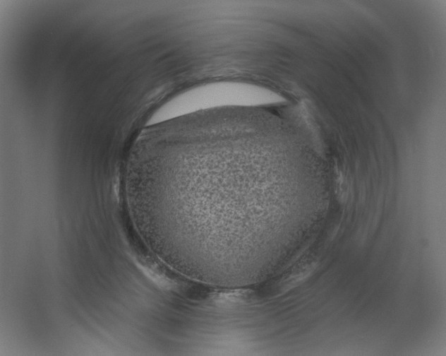 X0000063460072200602101725