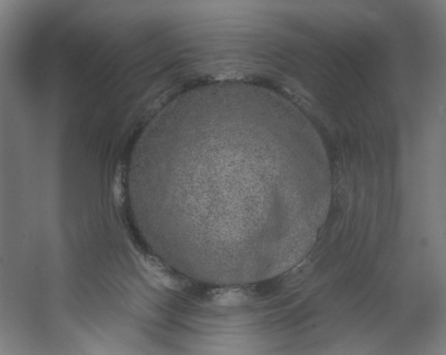X0000063460074200602101725