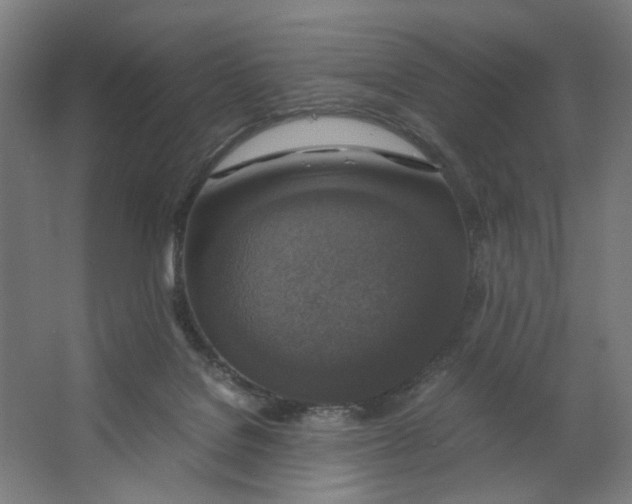 X0000063460076200602101725