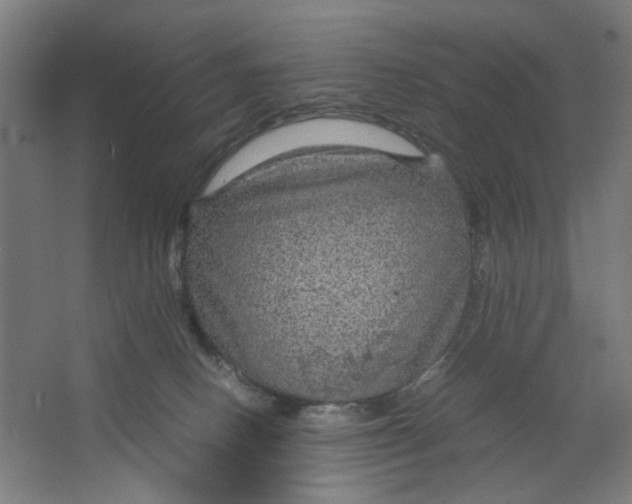 X0000063460082200602101725