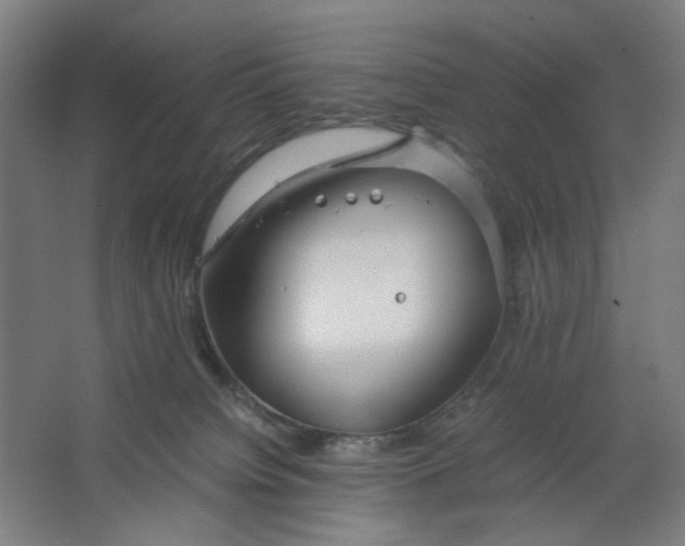 X0000063460084200602101725