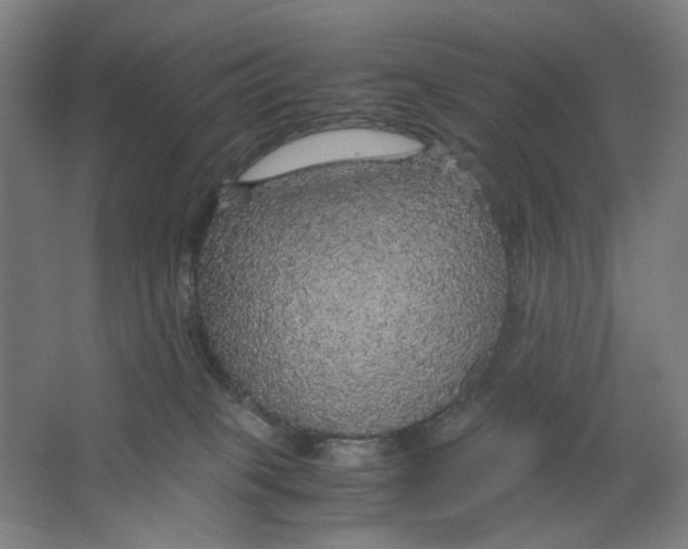 X0000063460085200602101725