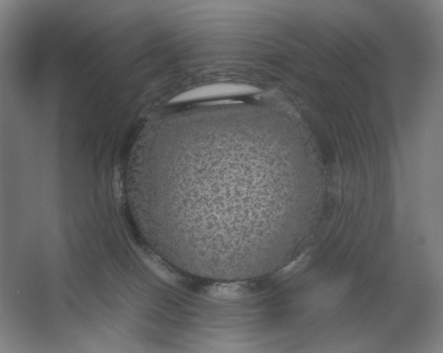 X0000063460086200602101725