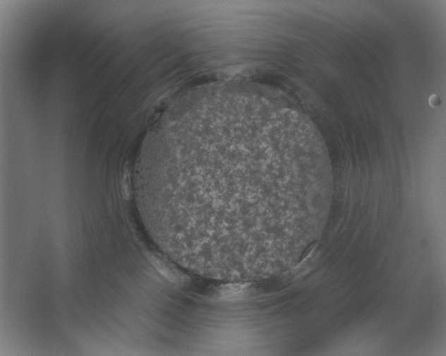 X0000063460090200602101725