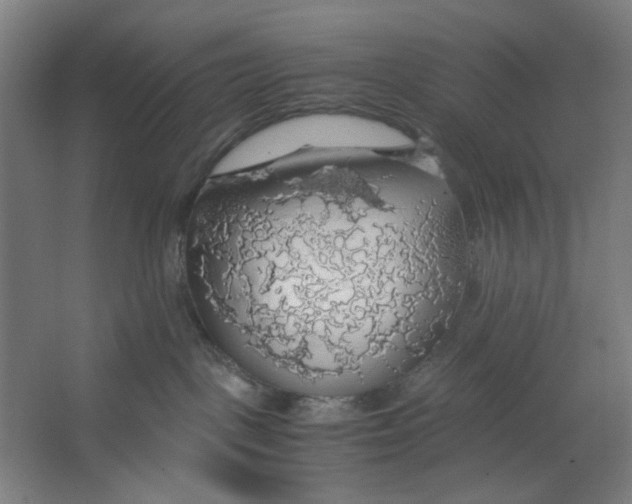 X0000063460093200602101726