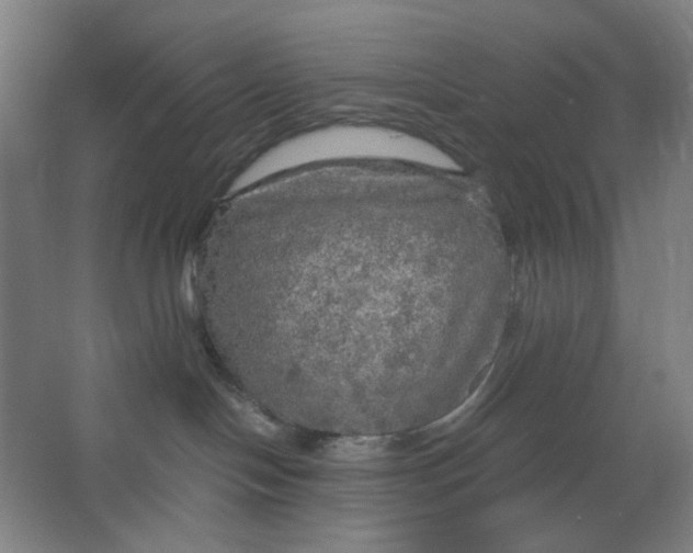 X0000063460094200602101726